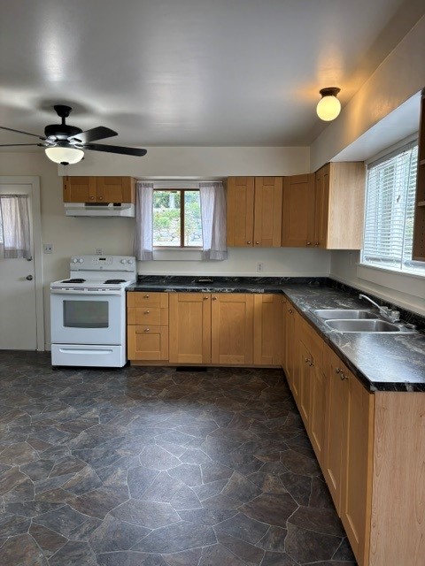 5154 B Sunshince Coast